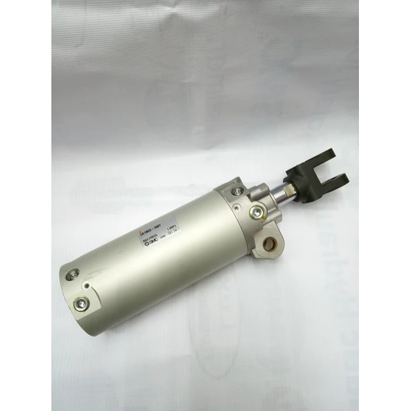 Air Cylinder CK1B63-100Y